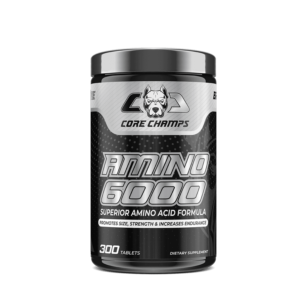 AMINO 6000 2